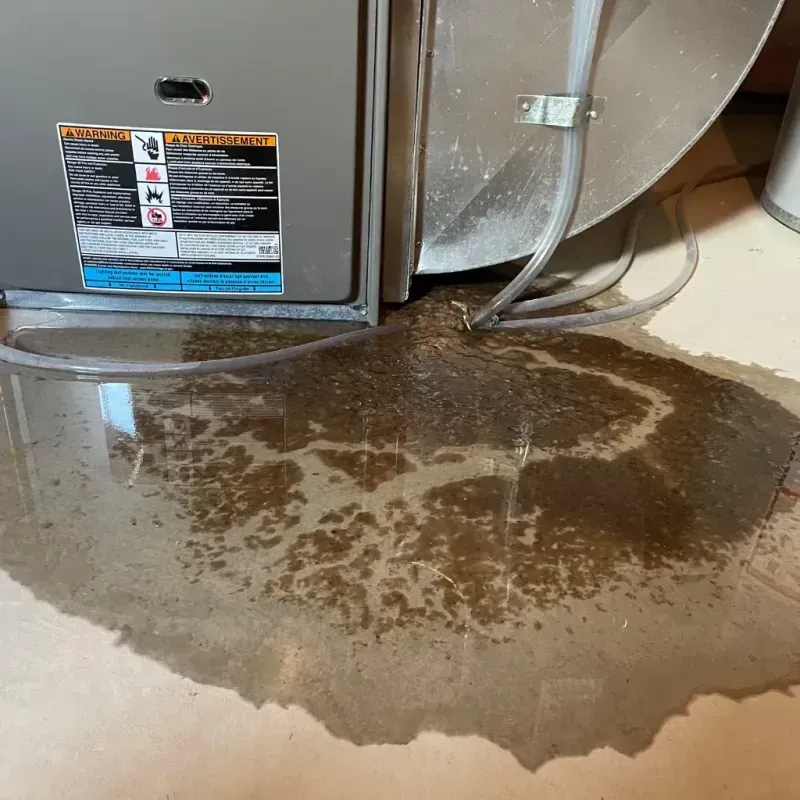 Appliance Leak Cleanup in Graham County, NC